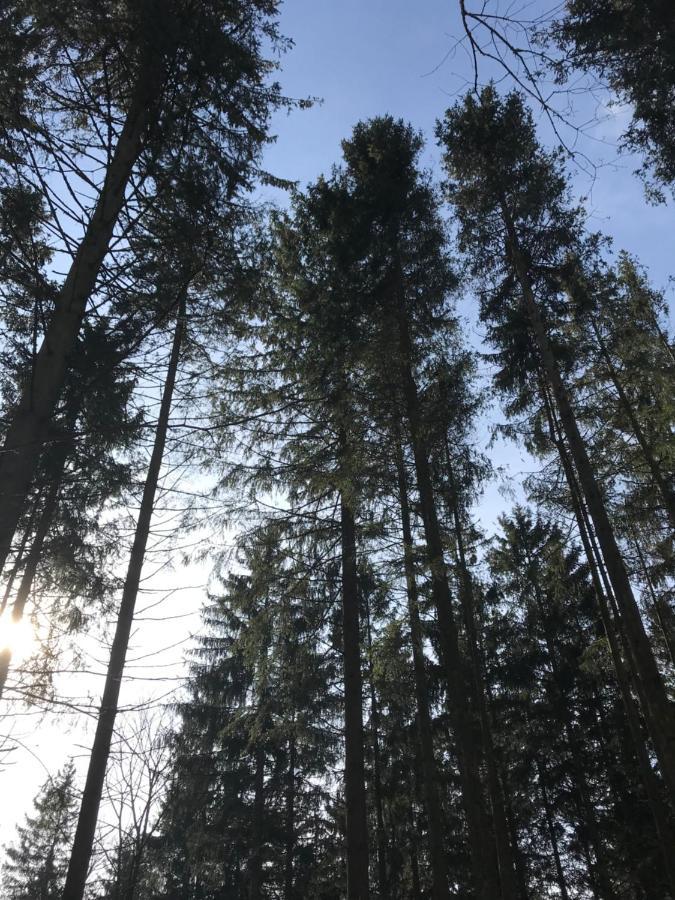 Wohnung Mit Panoramablick Gerolstein Dış mekan fotoğraf