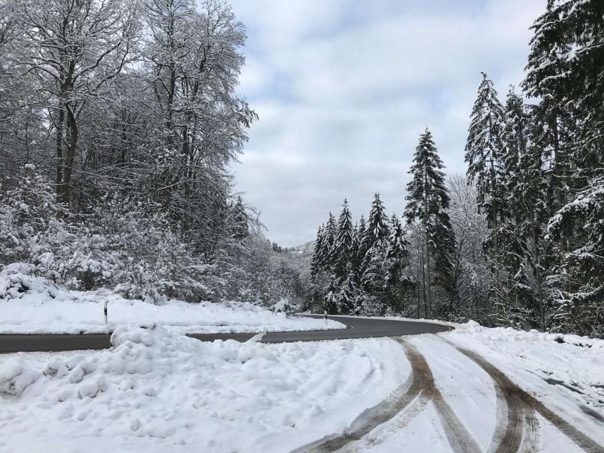 Wohnung Mit Panoramablick Gerolstein Dış mekan fotoğraf